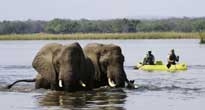 Zambia Safaris 