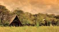 Zimbabwe Safaris 