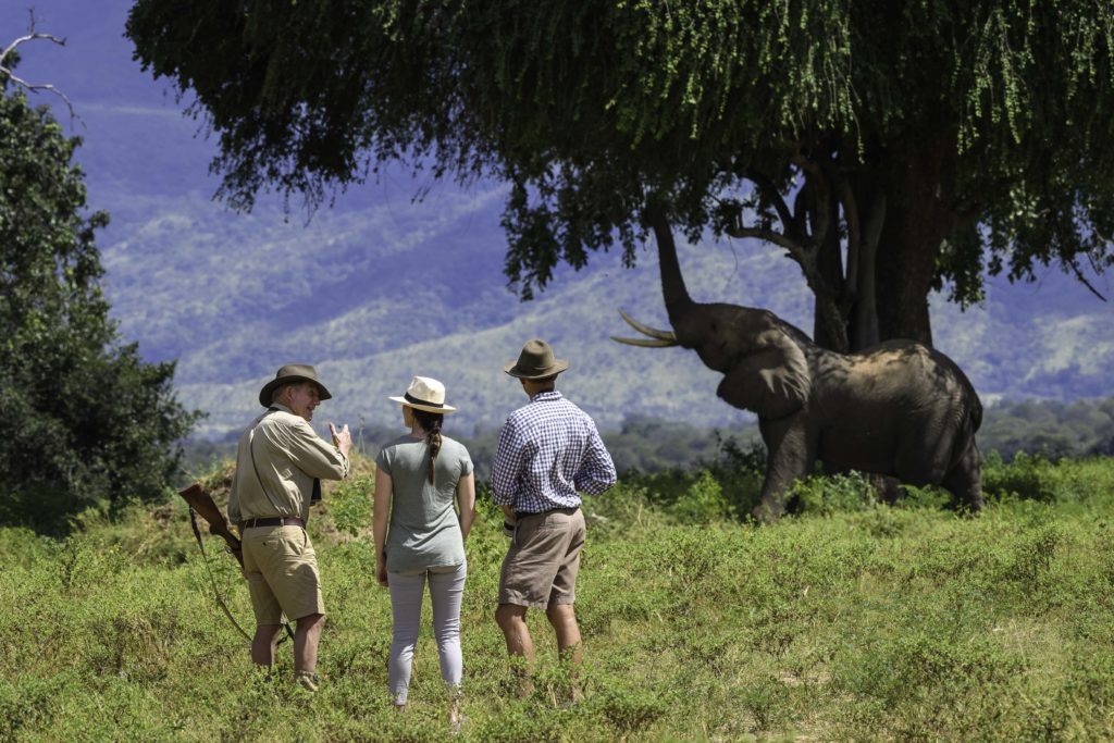 African Safari: The Trip to Take in Your 30s