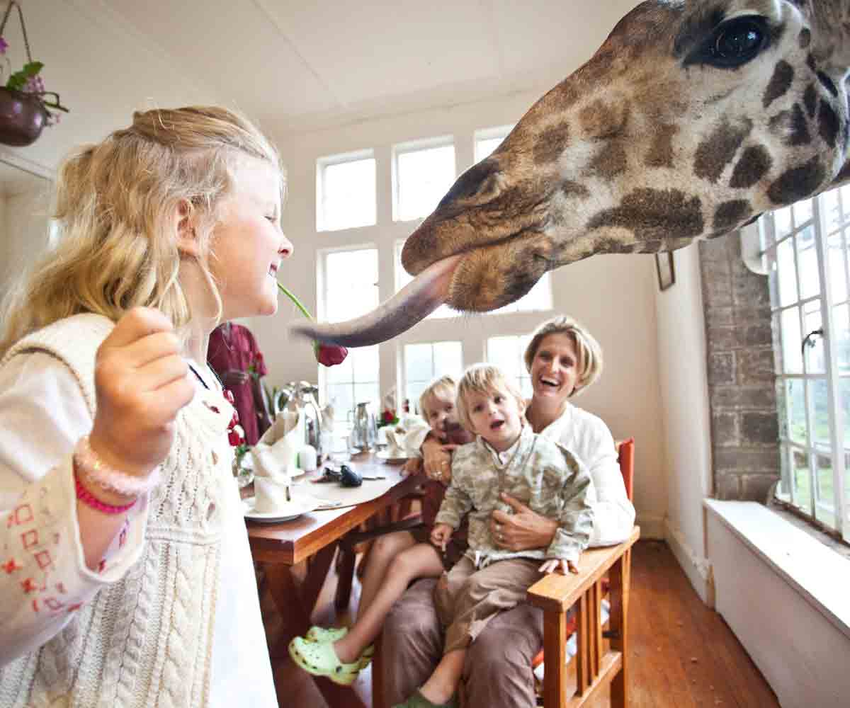 Giraffe Manor Kenya: A Guide