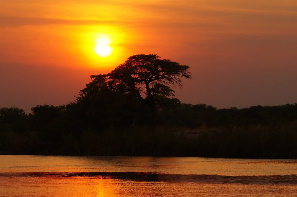 Okavango Delta in flood