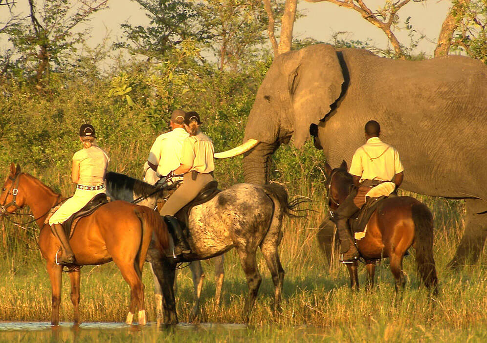 Botswana Horseback Safari