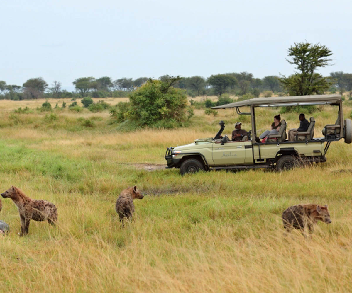 African Safari Vehicles