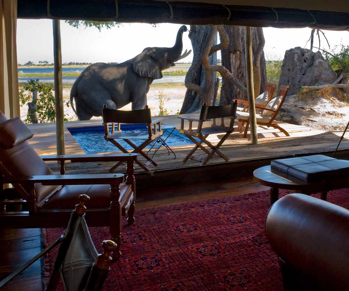 Safari Honeymoons in Southern Africa