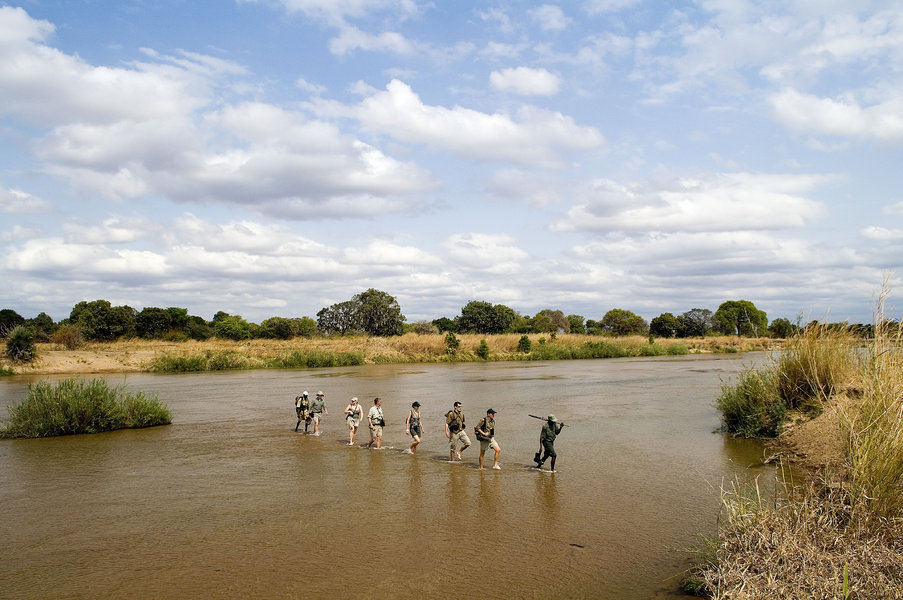 Experience a Walking Safari in Zambia