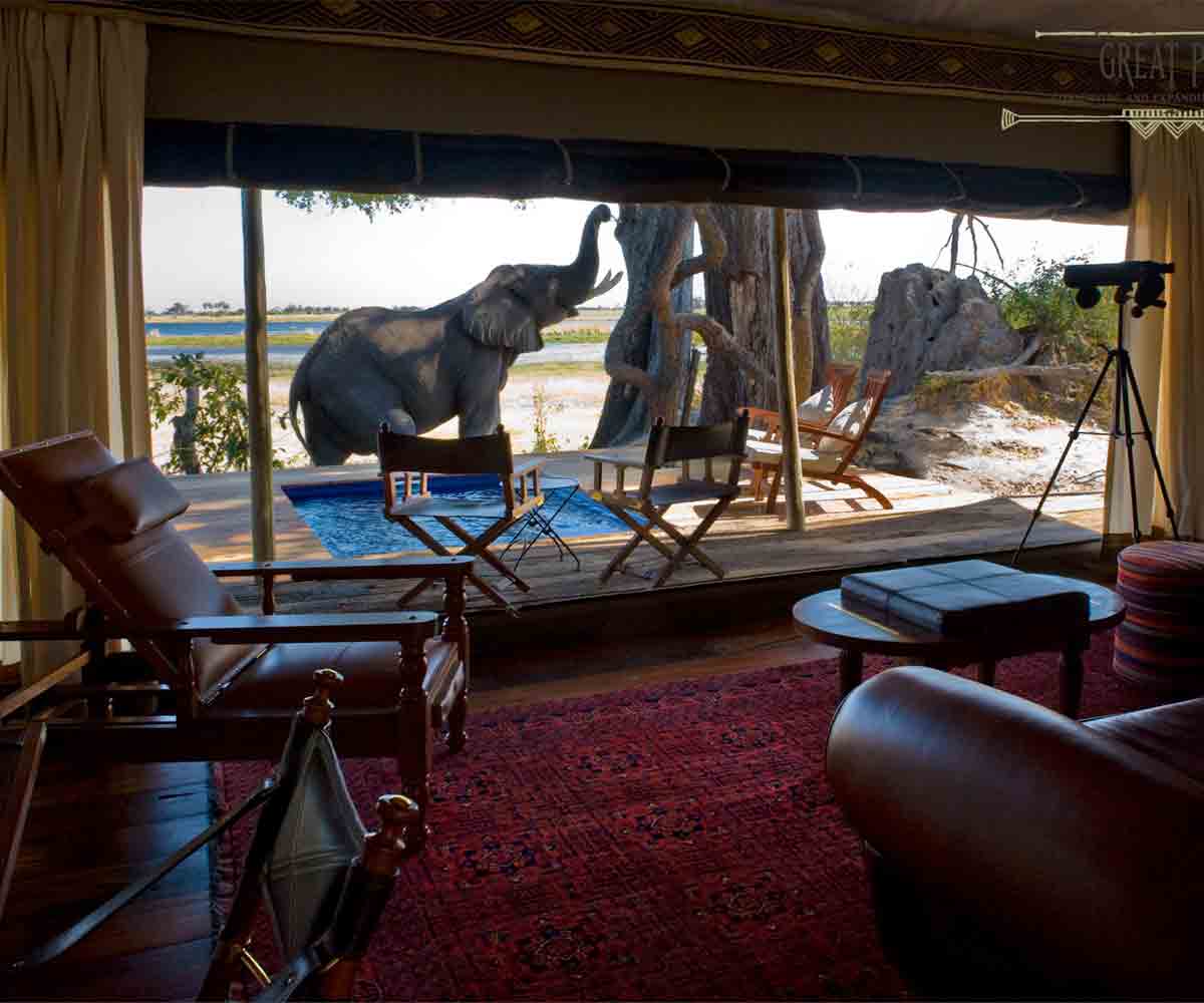 Top 5 Botswana lodges for 2019