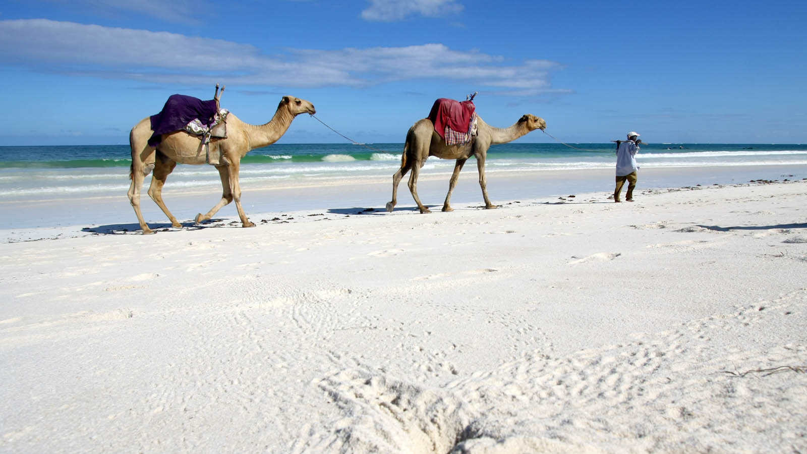 Africa Safari and beach