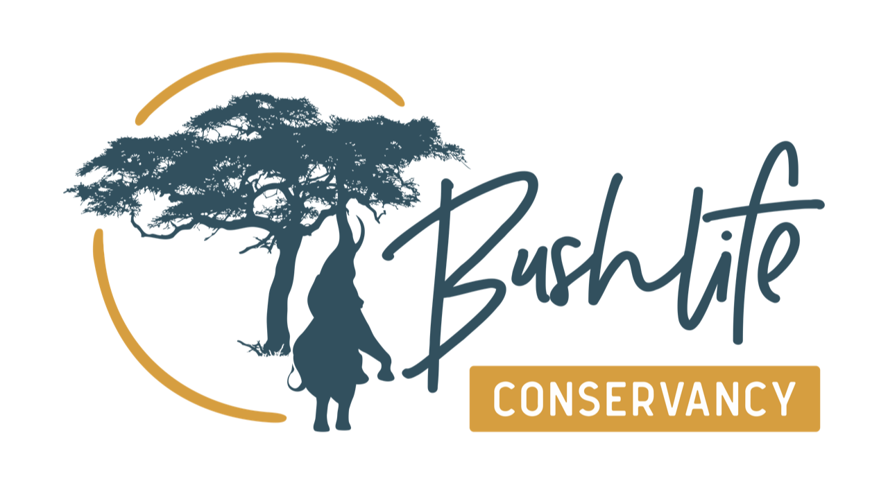 Bushlife Logo