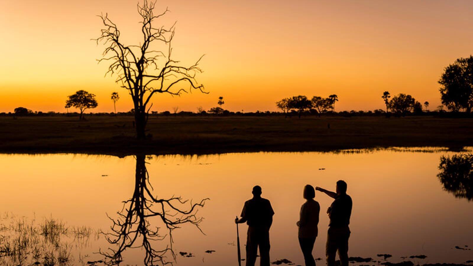 Africa Safari and beach