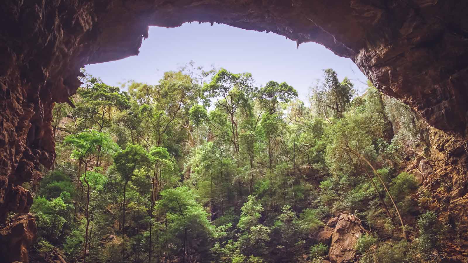 Africa Safari and beach