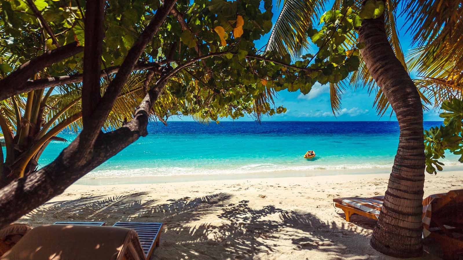 Africa Safari and beach