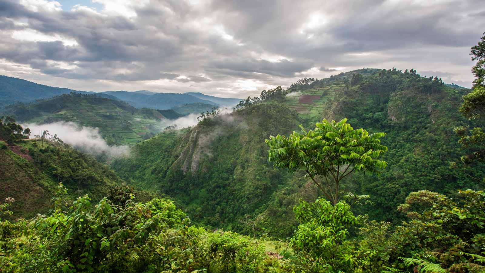 Africa Safari and beach