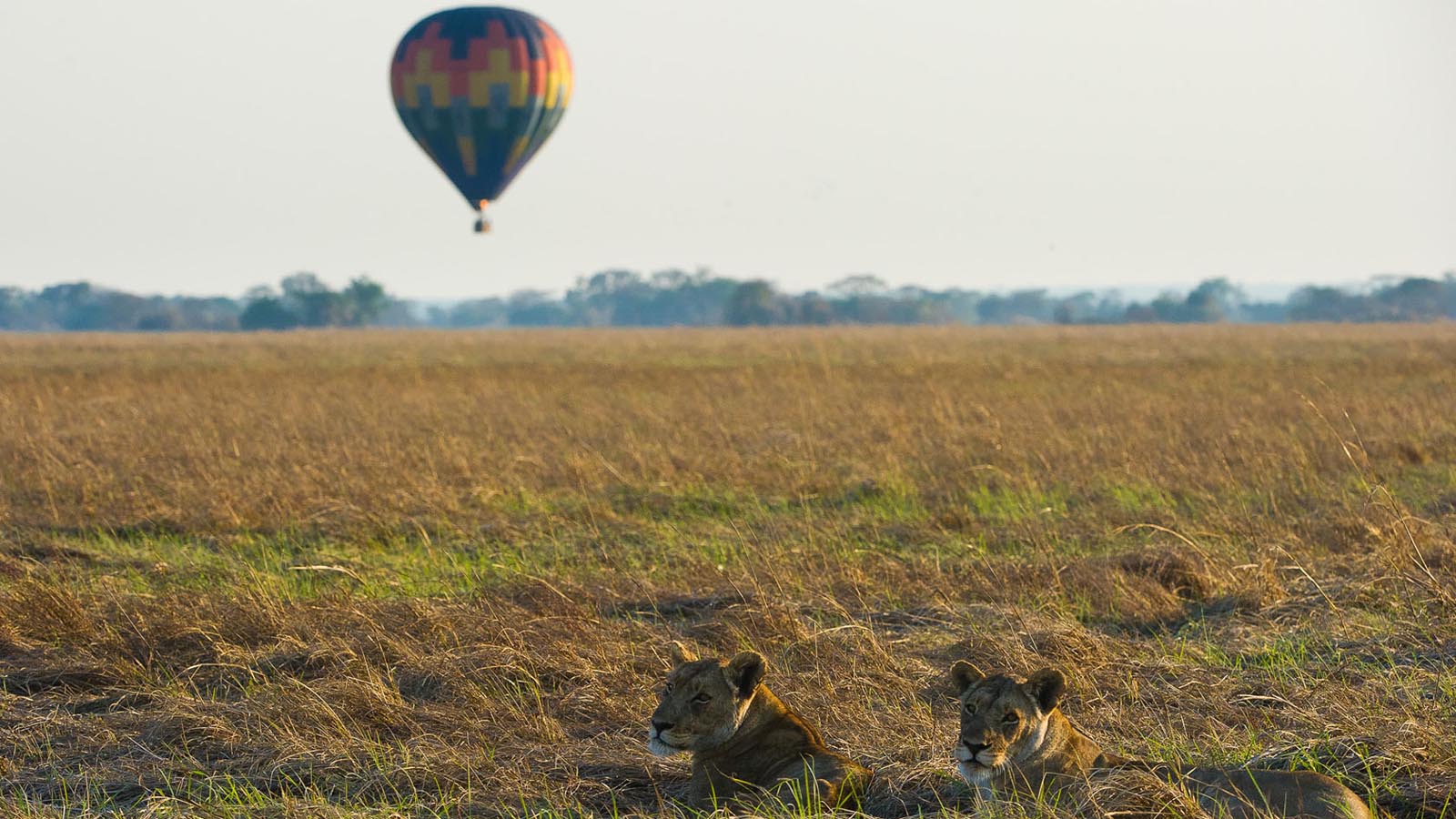 Namibia safari