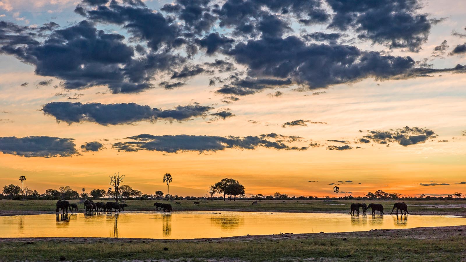 Africa Safari and beach