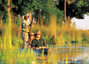 Family Safari Holidays in Botswana: Easy Travel from South Africa - Safety Considerations for Family Safari Holidays