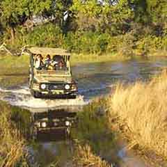 Botswana Family Holidays