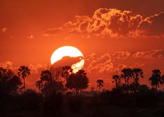 Botswana Honeymoon Safaris