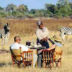 Botswana Honeymoon Safaris