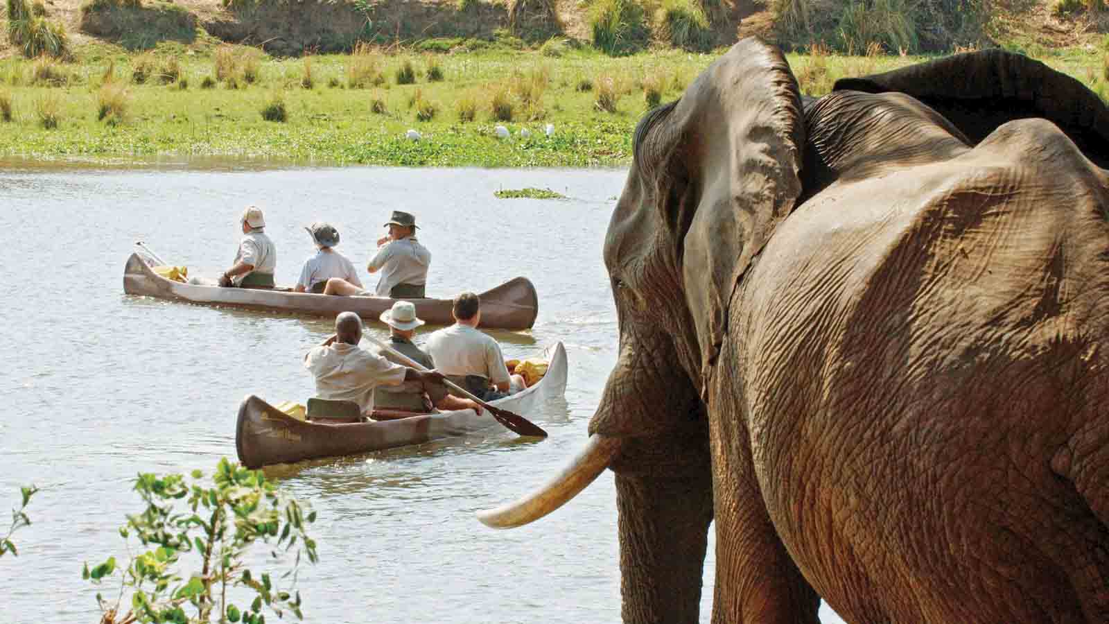 Safari Holiday