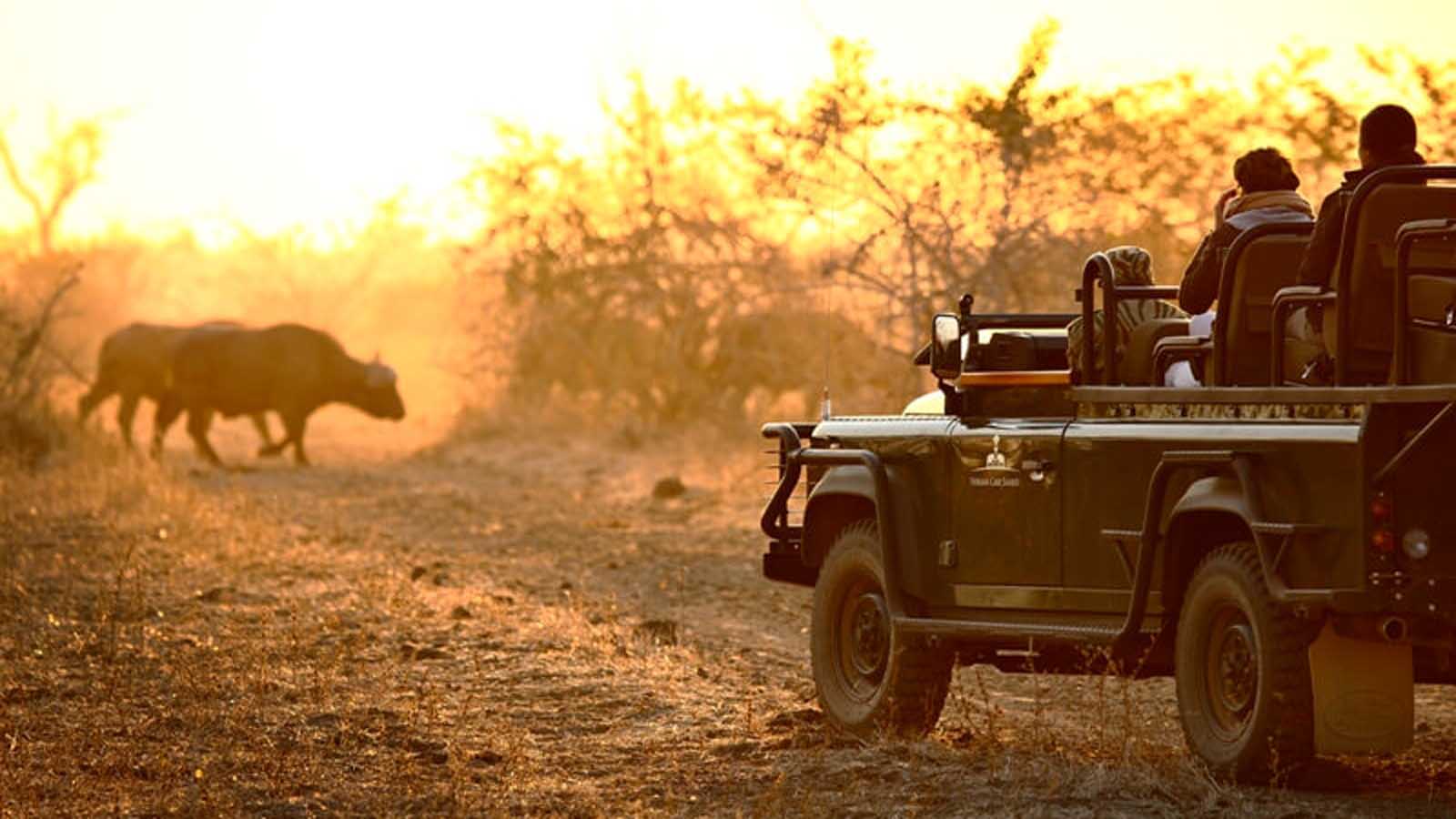 Africa Safari and beach