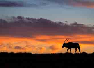 Namibia Adventure 1