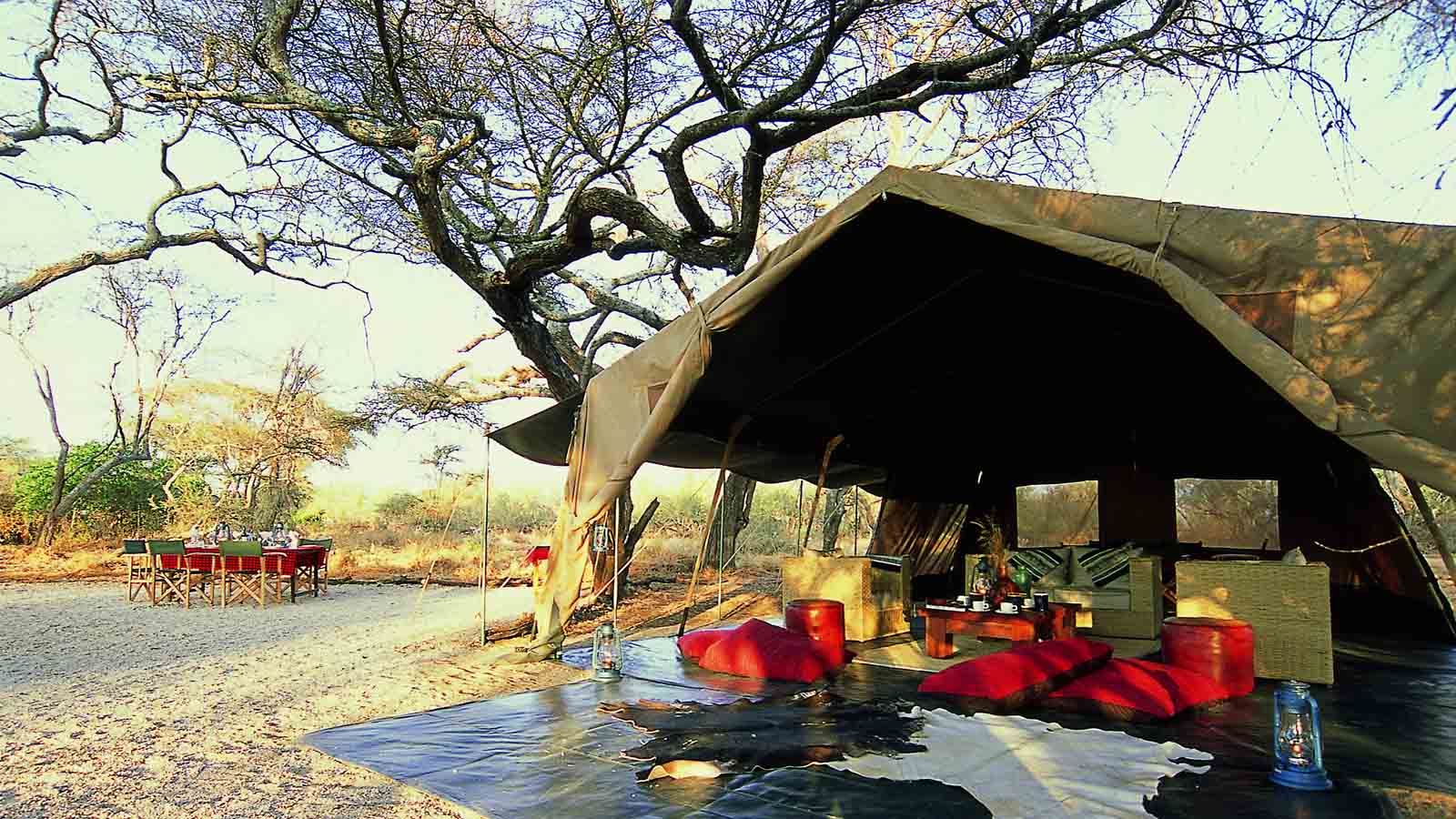 Africa Honeymoon