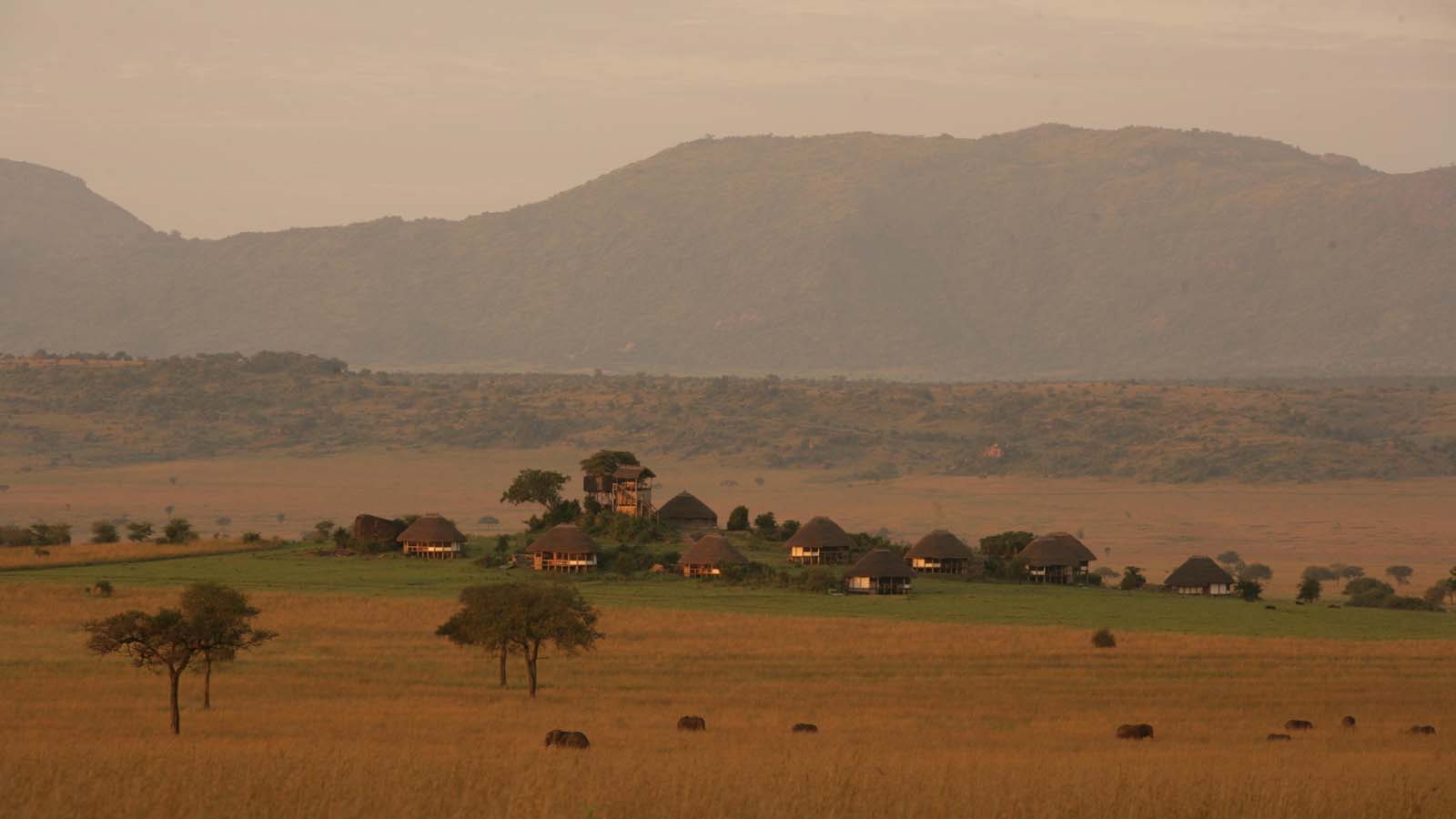 Africa Honeymoon