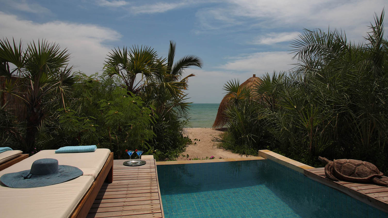 Africa Safari and beach