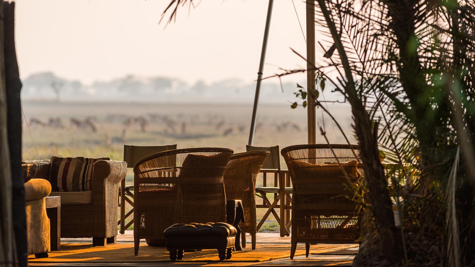 Africa Safari and beach