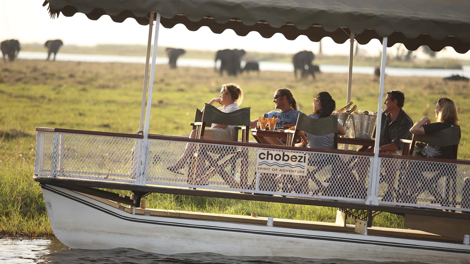 Botswana Safari