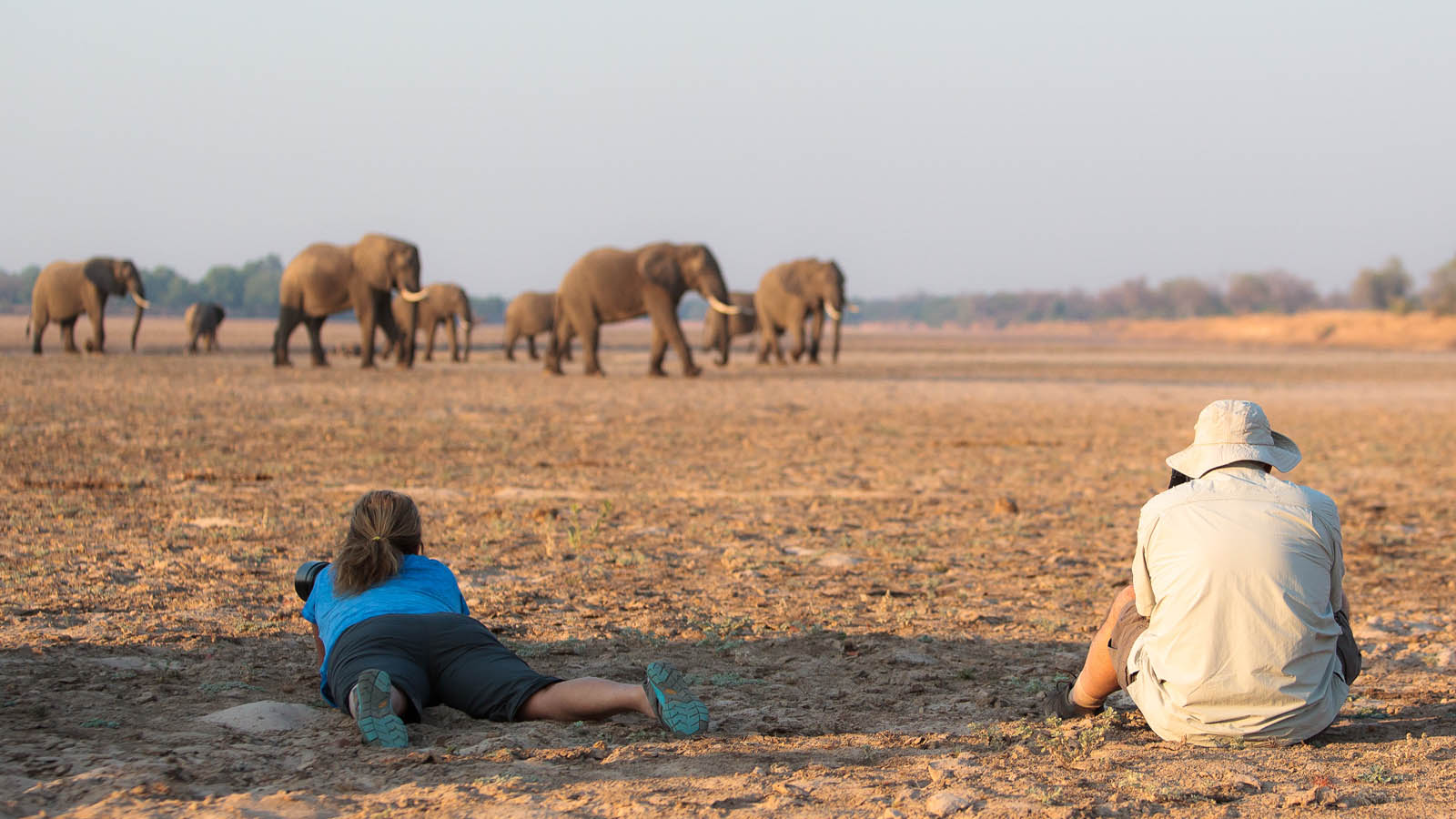 Africa Honeymoon