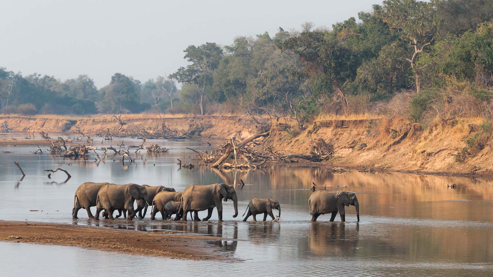 Africa Safari and beach