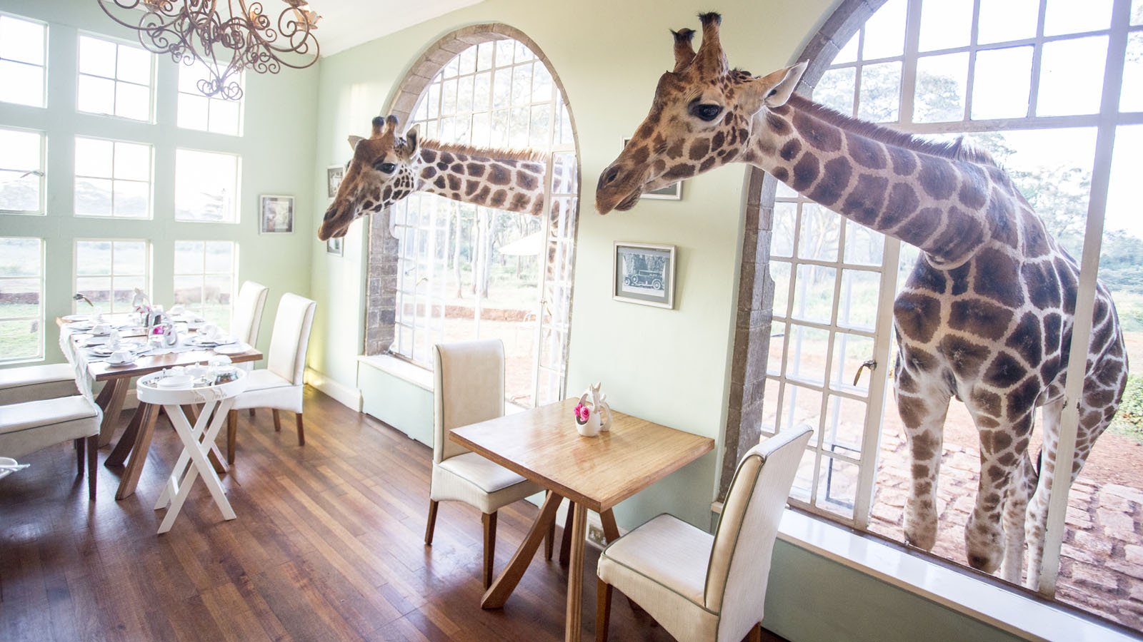 Safari Holiday