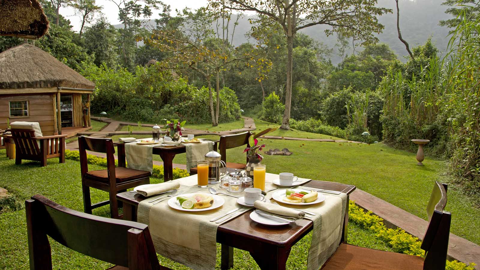 Africa Safari and beach