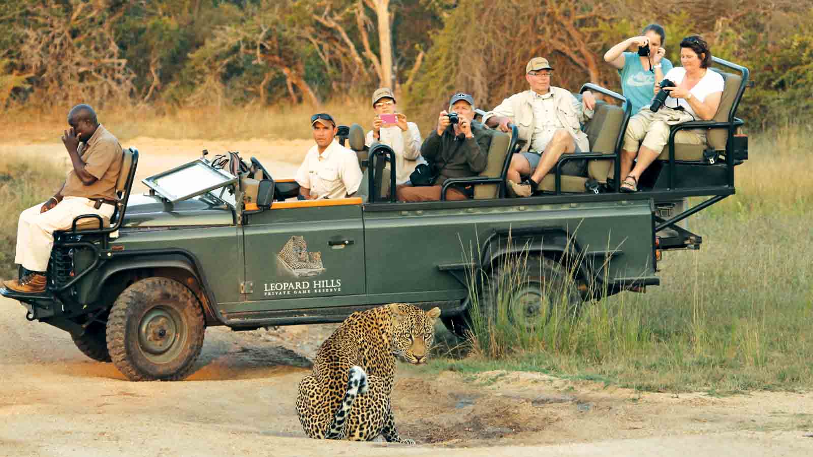 Safari Holiday