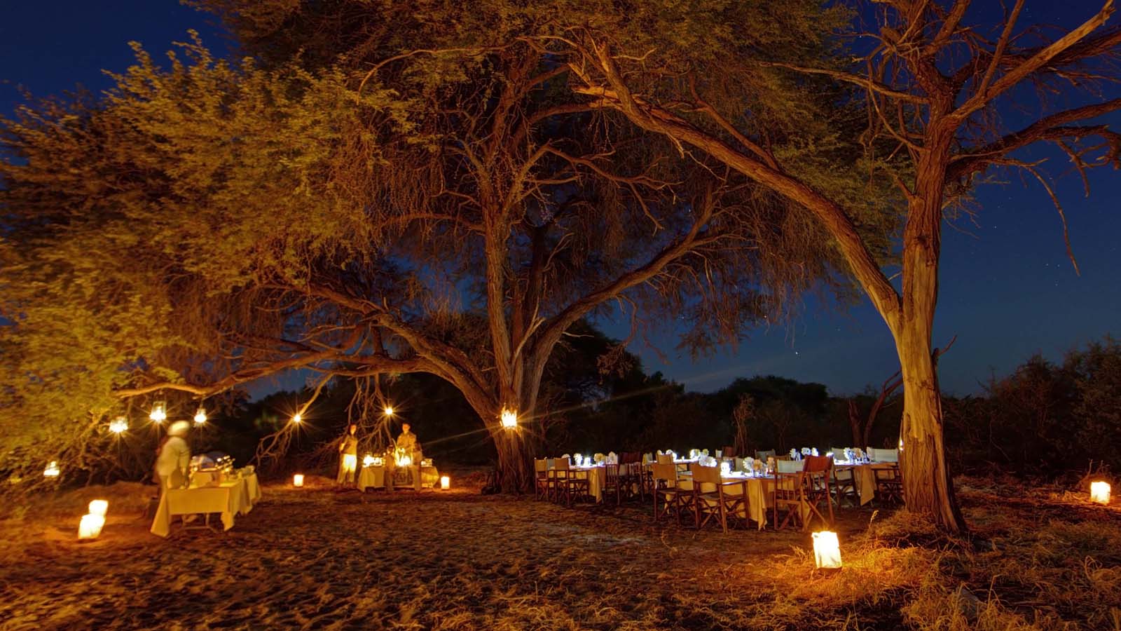 Africa Safari and beach