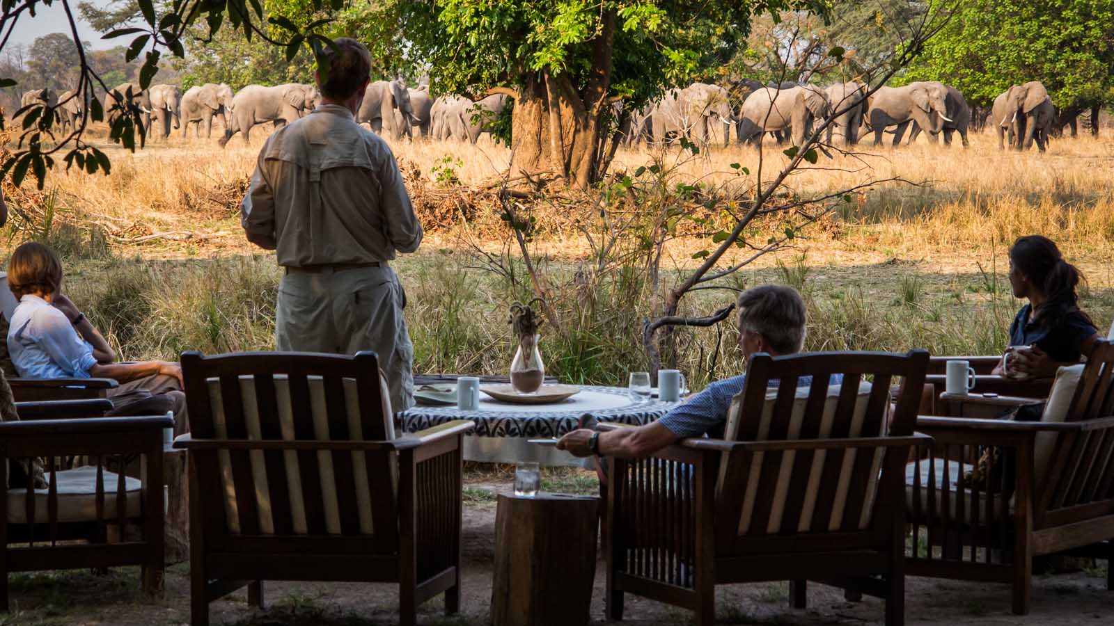 Africa Safari and beach