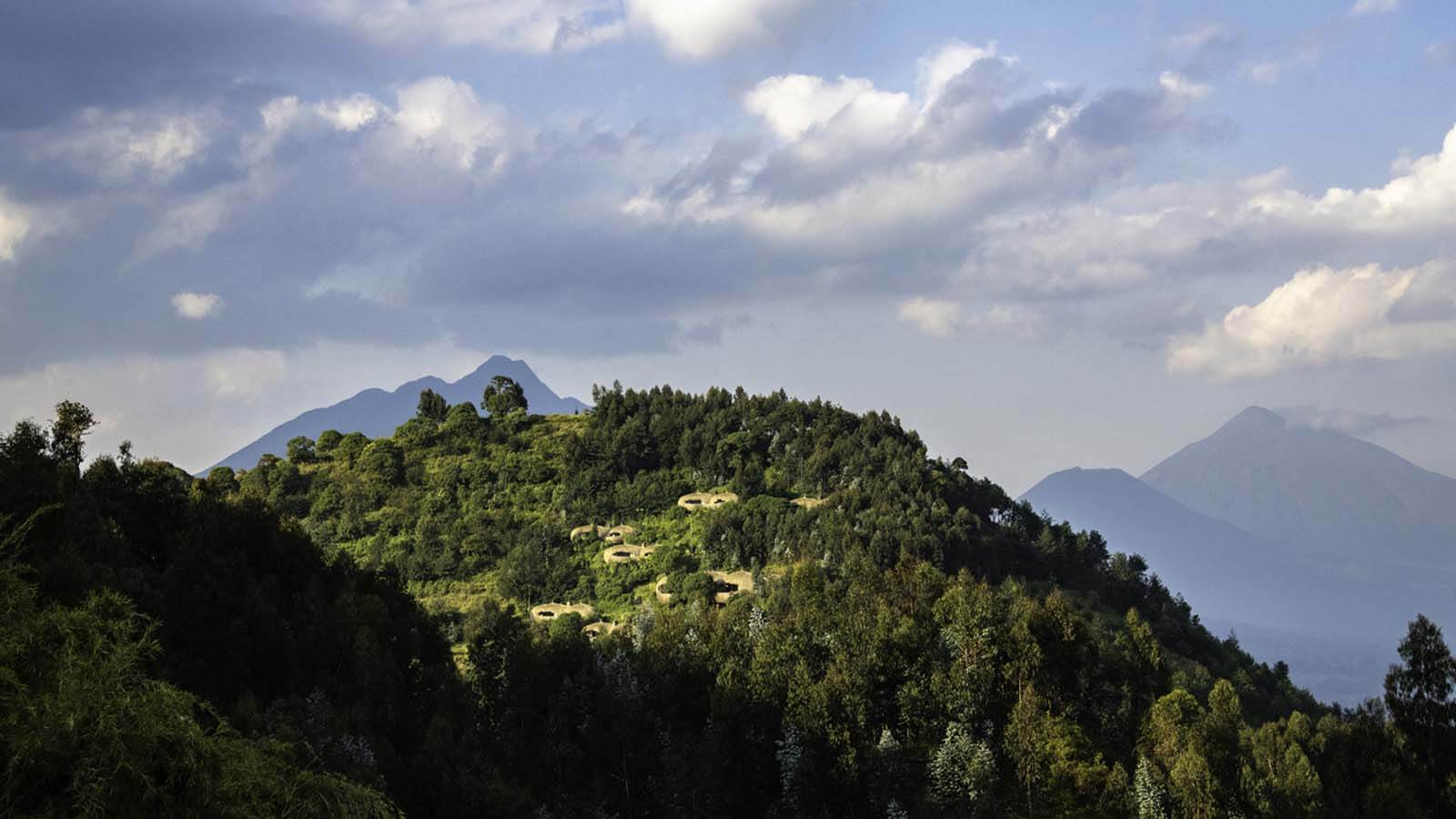 Africa Safari and beach