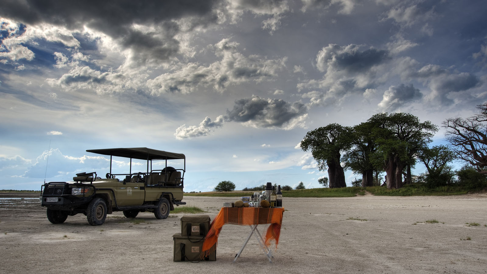 Botswana Safari