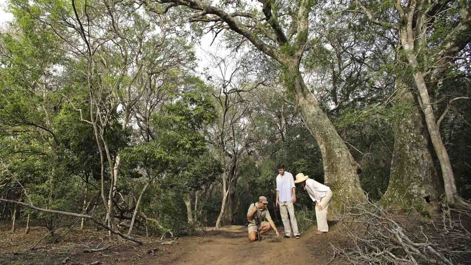 Africa Safari and beach