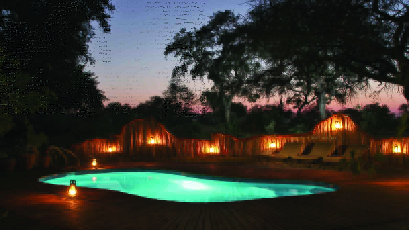 Africa Honeymoon