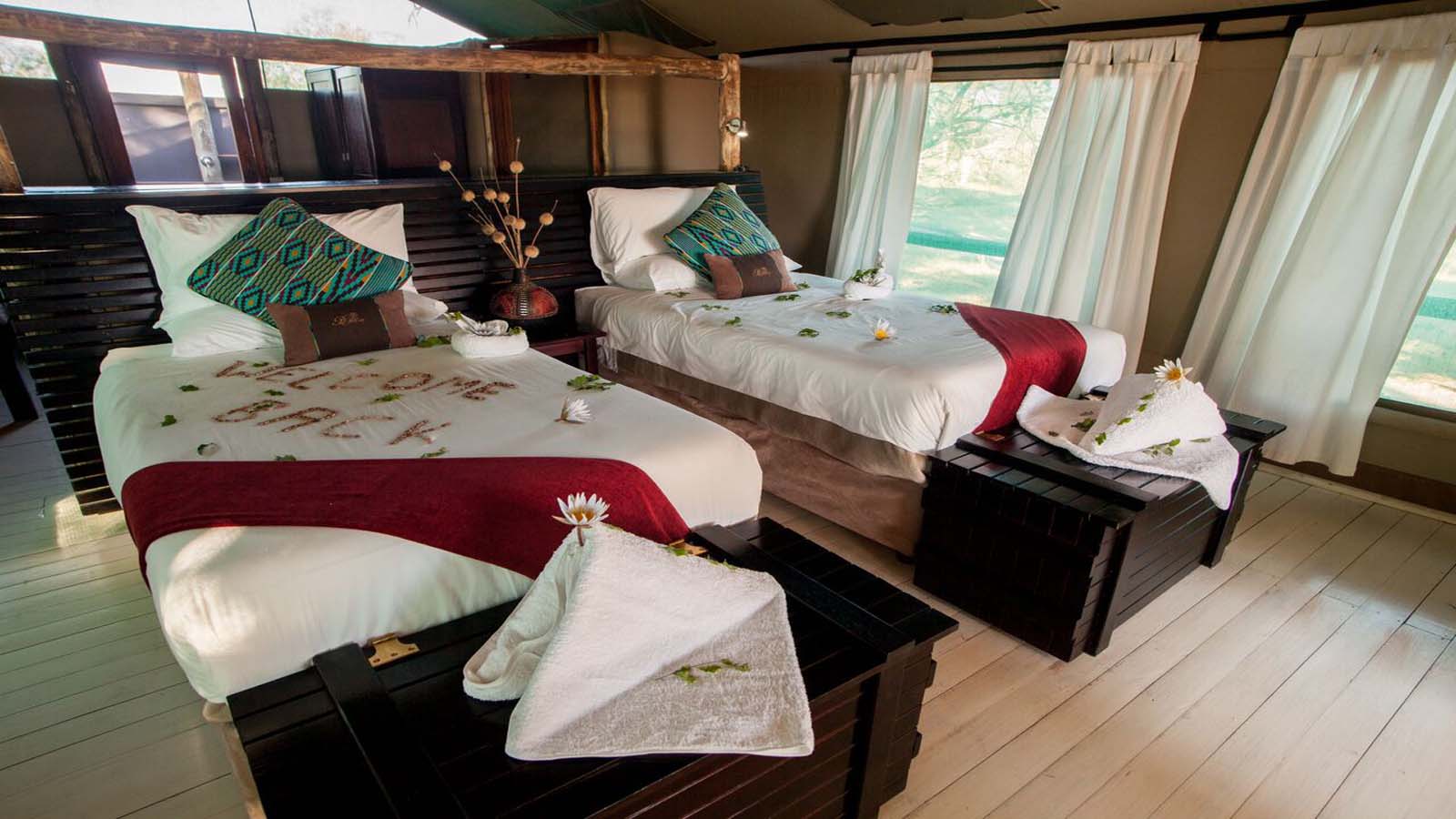 Africa Safari and beach