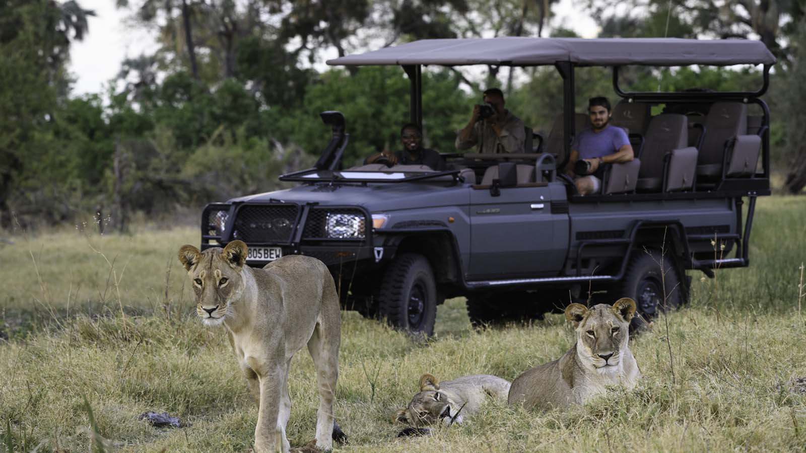 Botswana Safari