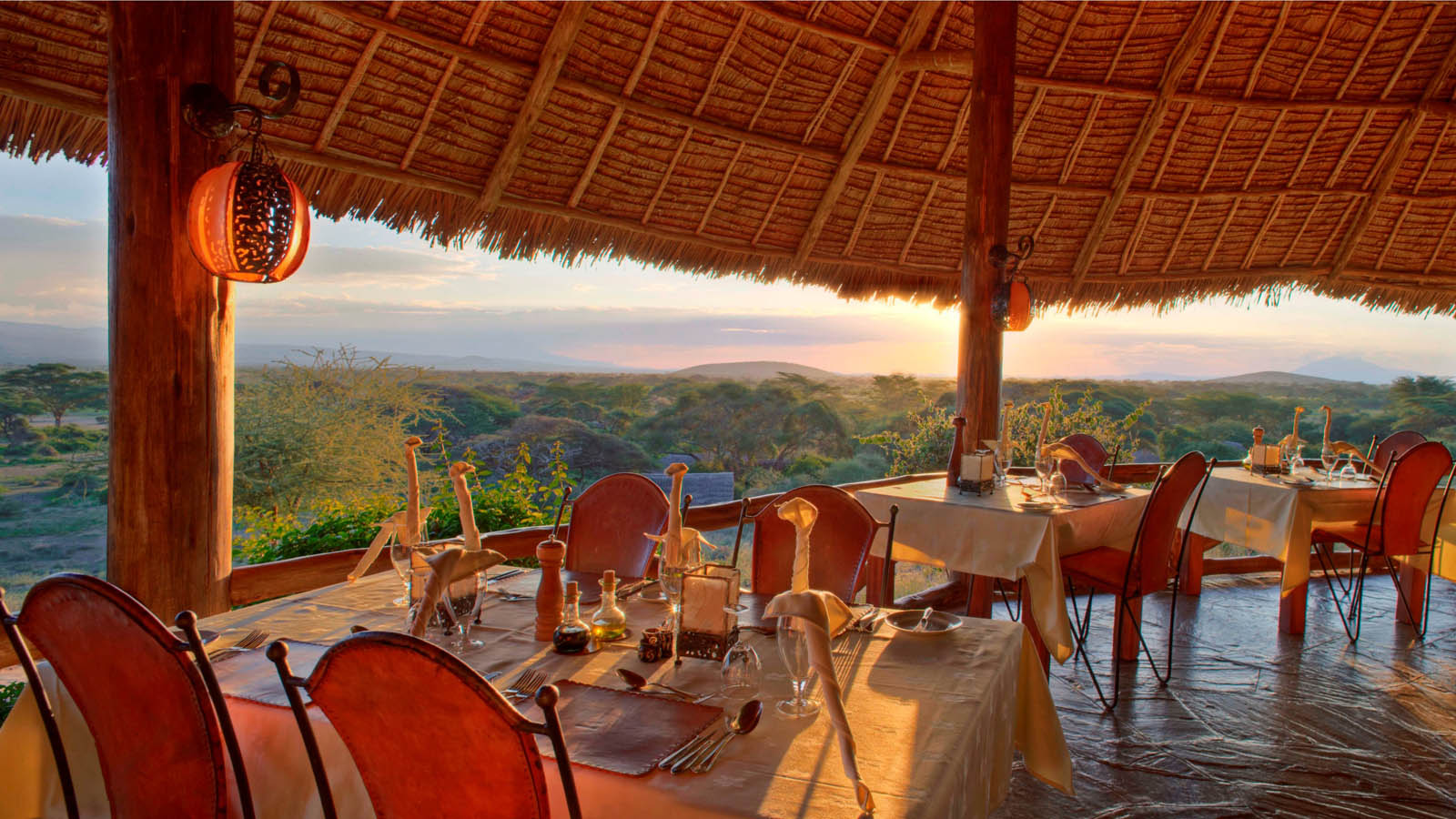 Africa Honeymoon