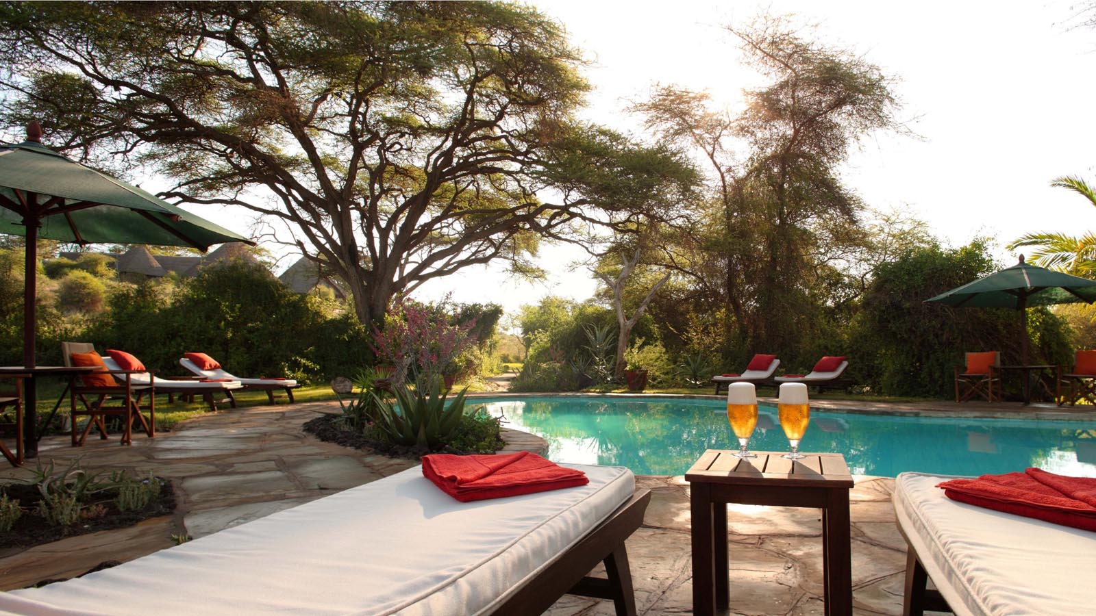 Africa Safari and beach