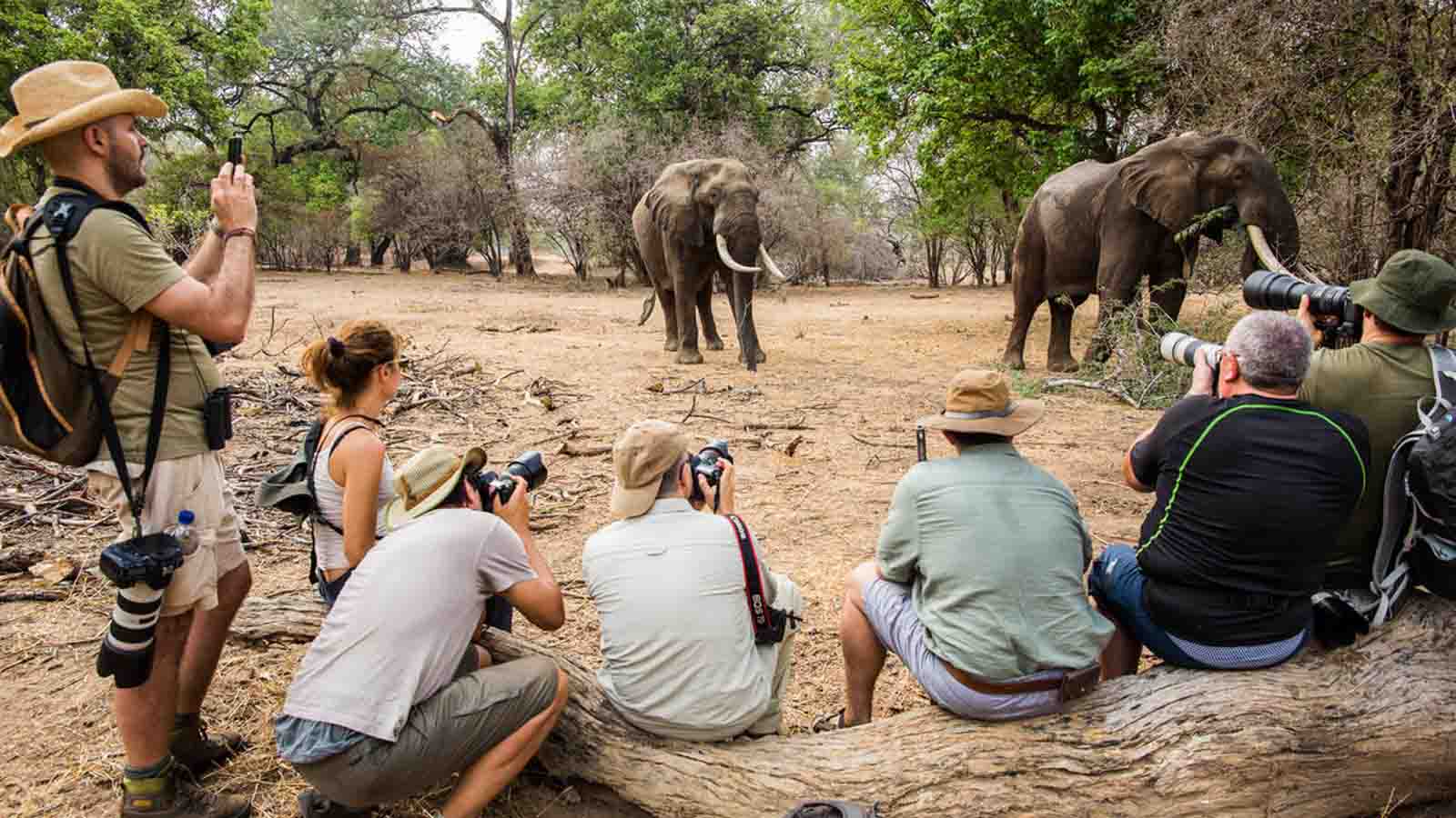 Africa Safari and beach