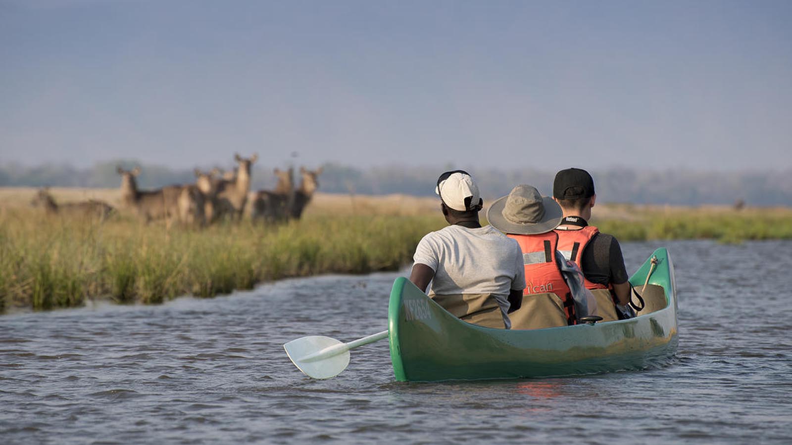 Africa Safari and beach