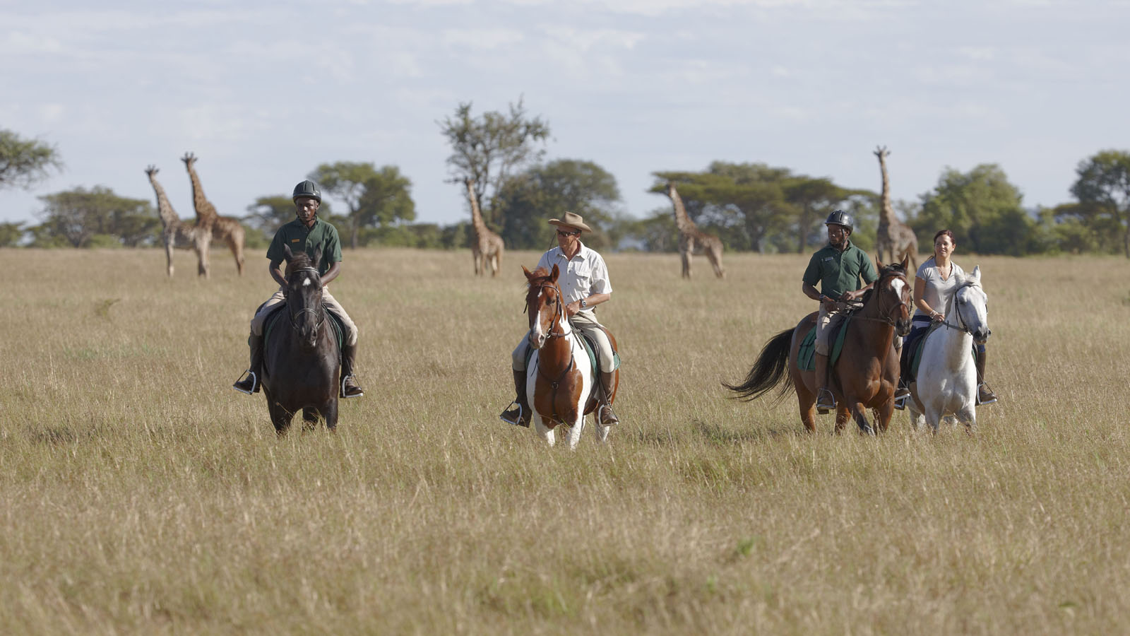 Africa Honeymoon