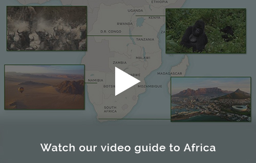 Africa Honeymoon planning with the experts