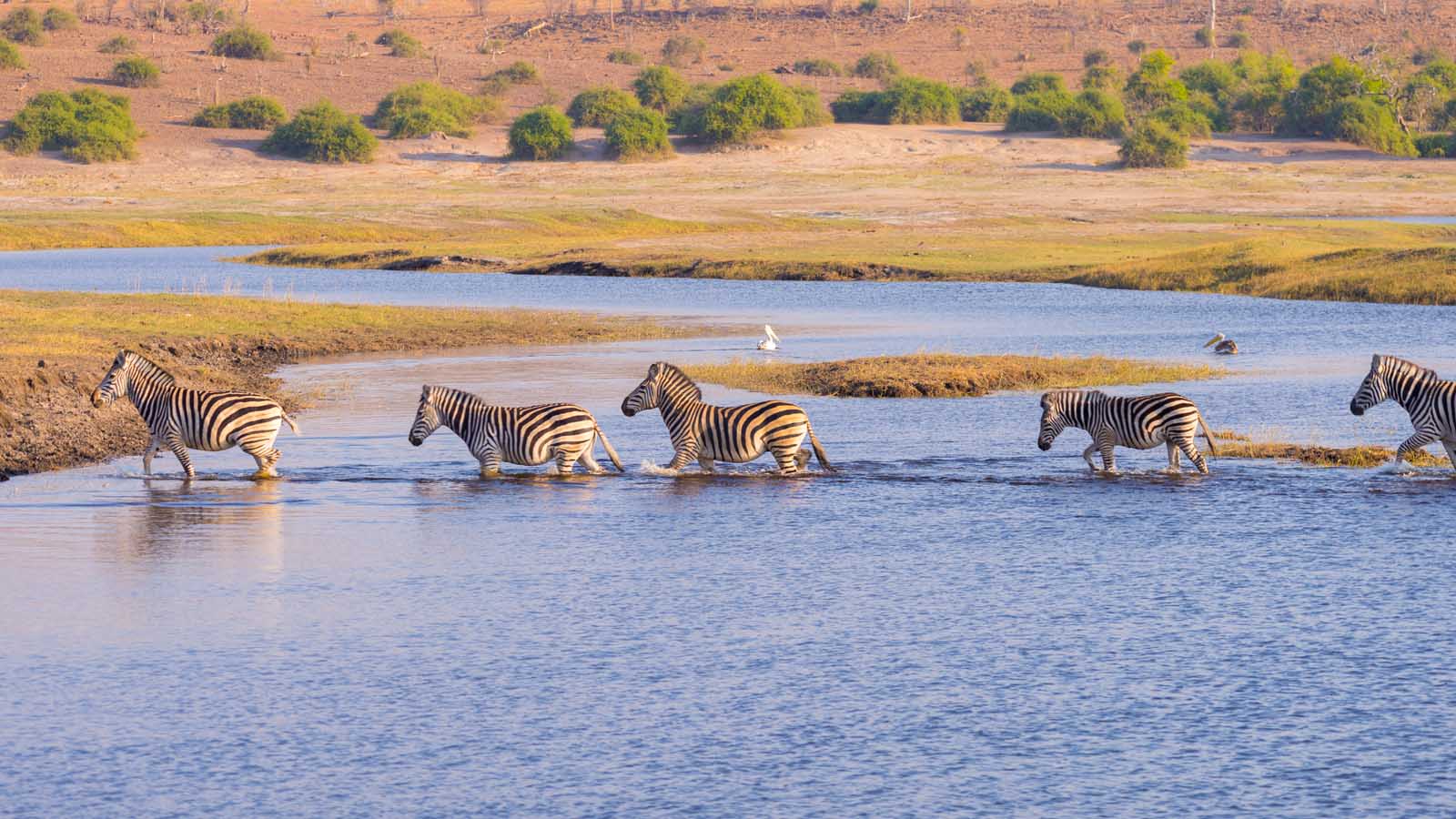 Africa Honeymoon